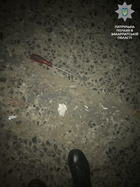 В Ужгороді вночі спіймали чоловіка, що намагався зняти номерний знак із автомобіля – 03 В Ужгороді вночі спіймали чоловіка, що намагався зняти номерний знак із автомобіля – 03