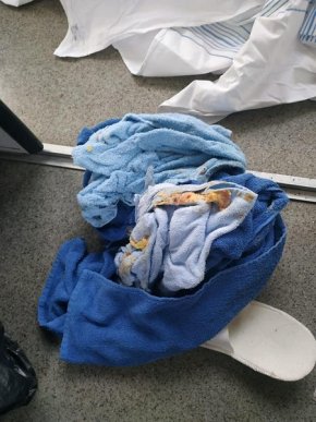 Побачене у потязі "Київ-Ужгород" обурило людей – 08