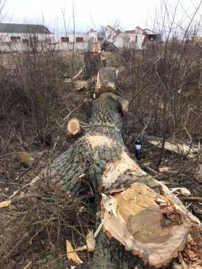 Піймали на гарячому: у Ракошині розгорівся конфлікт через дії ромів – 04