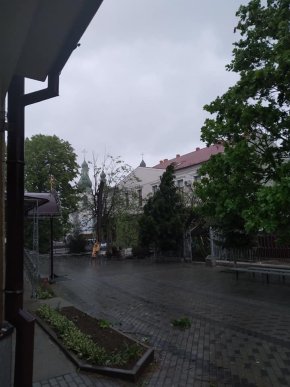 У Мукачеві шквальний вітер повалив дерева  – 01