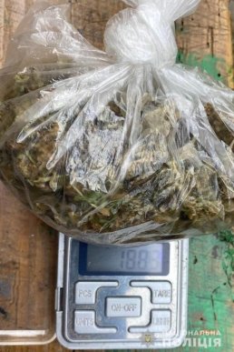 Силовики увірвались у двір 18-річного закарпатця: опубліковано відео – 05