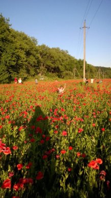 Біля Ужгорода є місце, на якому всі хочуть сфотографуватися – 04