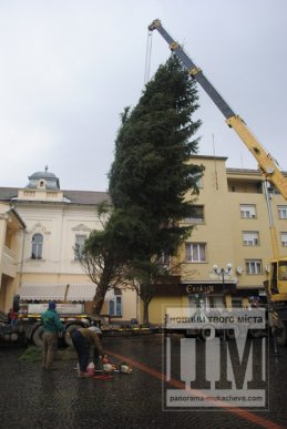 У Мукачеві встановлюють головну новорічну ялинку міста (ФОТО) – 10