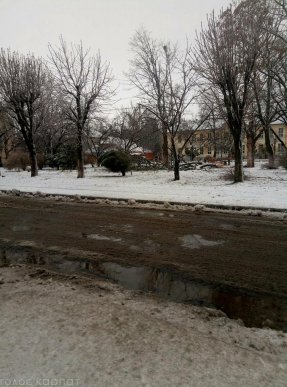 Наслідки негоди у Виноградові: повалені дерева, пошкоджені автомобілі та дах школи – 10