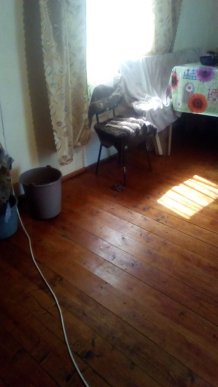 У будинок закарпатки заповзла змія, – соцмережі – 02