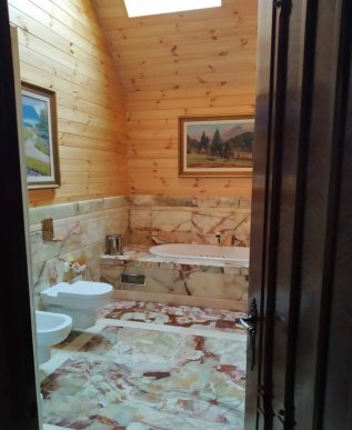 Обшуки маєтку родини Віктора Медведчука на Закарпатті: опубліковано ексклюзивні кадри – 16