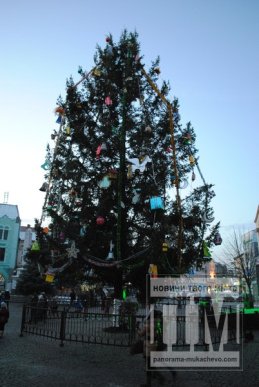У Мукачеві урочисто запалили святкові вогні головної ялинки міста (ФОТО, ВІДЕО) – 13