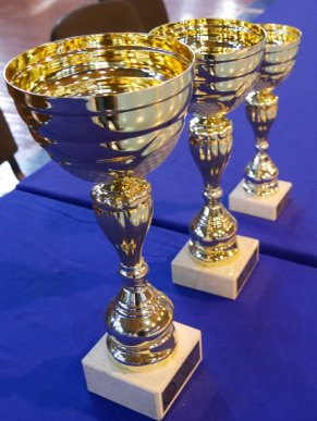 В Ужгороді розпочався чемпіонат Європи з бойового самбо – 01 В Ужгороді розпочався чемпіонат Європи з бойового самбо – 01