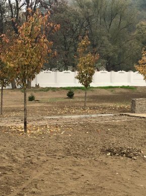 У парку "Дружба" в Хусті, який планують відкрити весною 2016 року, висадили дерева – 10