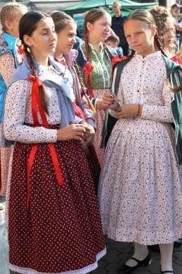 В рамках Дня міста Ужгород відбувся масштабний танцювальний флешмоб – 17