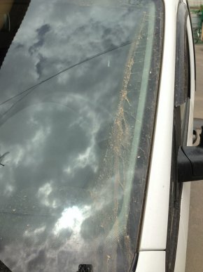 В Мукачеві також випав рудий дощ (ФОТОФАКТ) – 03