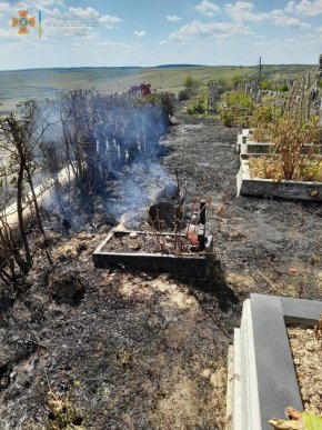 Пожежа на цвинтарі: рятувальники показали фото наслідків – 02