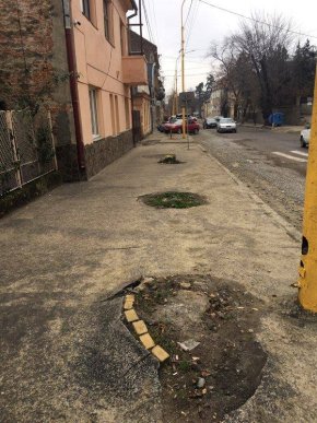 На вулиці Собранецькій в Ужгороді саджатимуть молоді дерева – 02