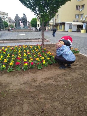 У центрі Мукачева висадили різнобарвні квіти – 02