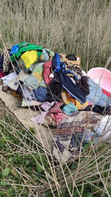 Історія закарпатки шокувала всю країну – 03