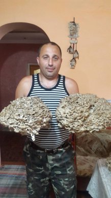 На Закарпатті люди назбирали унікальних грибів-квочок – 03