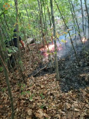 Велика пожежа на Закарпатті: рятувальники та місцеве населення всю ніч гасили вогонь – 05