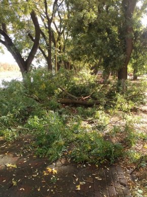 Негода в Ужгороді наробила біди – 04