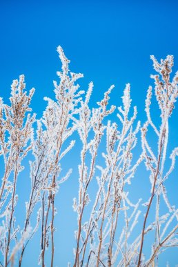 Картинки на телефон: обирайте нову заставку з зимовим вайбом – 15