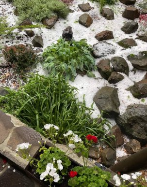 У селі на Мукачівщині випав град – 02