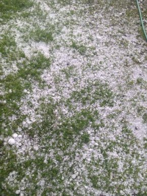 Виноградівщина оговтується від нищівного граду: шокуюче відео стихії – 13