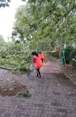 В Ужгороді комунальники ліквідовують наслідки негоди – 07