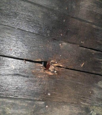 Вибух на подвір’ї мукачівської підприємиці: оприлюднено фото з місця події – 06 Вибух на подвір’ї мукачівської підприємиці: оприлюднено фото з місця події – 06