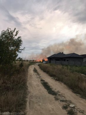Велика пожежа у Виноградові: вогонь наближається до новобудов – 02