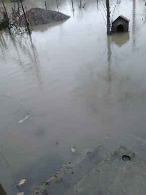 Негода на Перечинщині: у Зарічеві через сильні зливи підтоплені вулиці – 03