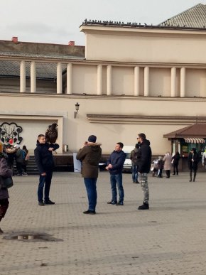 На чоловіка, який в Ужгороді пропонував перехожим сфотографуватись з орлом, викликали поліцію  – 02