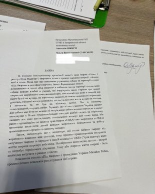 Народна артистка України Ольга Сумська звернулась до поліції Закарпаття: що трапилось – 03