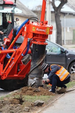 У Мукачеві висаджують кленову алею – 10