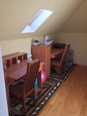 У Виноградові відкрили новий дитячий будинок сімейного типу – 02