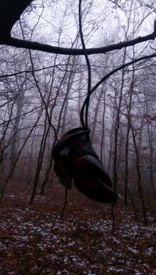 Закарпатці у лісі натрапляють на моторошні знахідки – 04