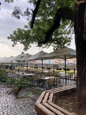 Величезна гілка впала на відвідувачів кафе. Момент падіння потрапив на відео – 01