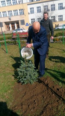 Москаль посадив перед ОДА ялинку, яка в майбутньому перетвориться на головну новорічну прикрасу Закарпаття – 03 Москаль посадив перед ОДА ялинку, яка в майбутньому перетвориться на головну новорічну прикрасу Закарпаття – 03