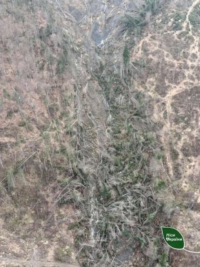 На Закарпатті відбувся масштабний зсув ґрунту: фото наслідків – 01