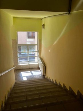 Як триває ремонт класів в одній із шкіл Мукачева – 06