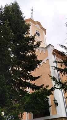 В області розпочали прикрашати ялинки: закарпатців просять долучитися до акції – 05