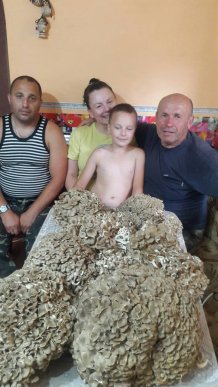 На Закарпатті люди назбирали унікальних грибів-квочок – 04