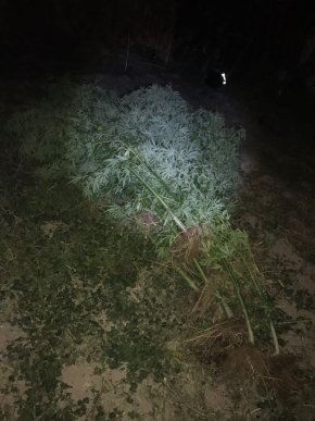 На Закарпатті під прикриттям СТО діяла мережа збуту наркотиків – 02