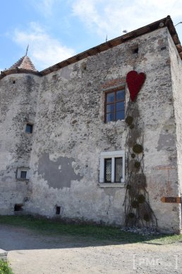 У Чинадієві стартував квітковий фестиваль "Кохання в Сент-Міклош" – 03