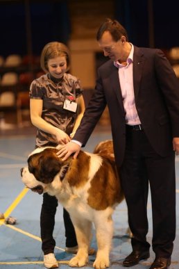 В Ужгороді визначили переможця Міжнародної виставки собак – 25