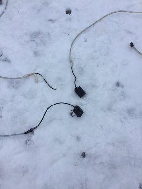 У Ракошині невідомий вандал розтрощив головну новорічну ялинку села – 06