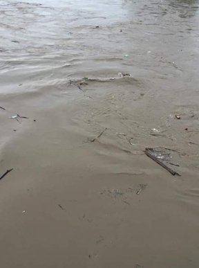 Рівень води у Латориці значно піднявся – 04