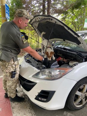 Сховав у авто та сумці з-під ноутбука: що виявили у громадянина Угорщини на одному з КПП – 01