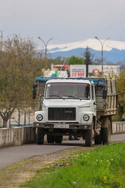 У Мукачеві на набережній висаджують екзотичні дерева – 04