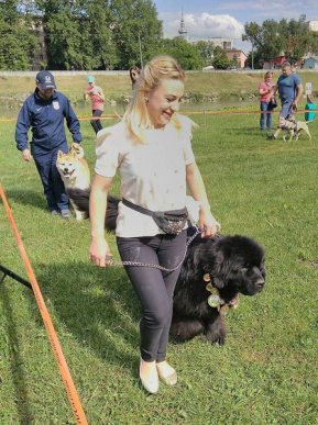 У Мукачеві відбувся "Парад собак" – 01