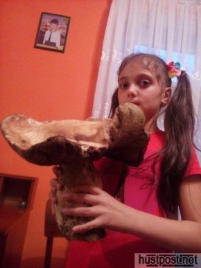 Закарпатець знайшов гриба-велетня – 01