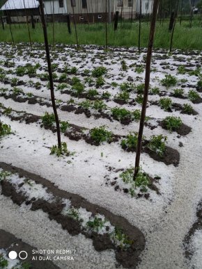 Одне із сіл Закарпаття сьогодні засипало градом – 01